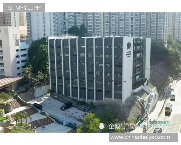 沙尔克04主场迎战法兰克福期待精彩对决与激烈竞争